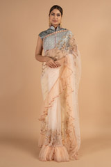 Peach Net Saree1330 video